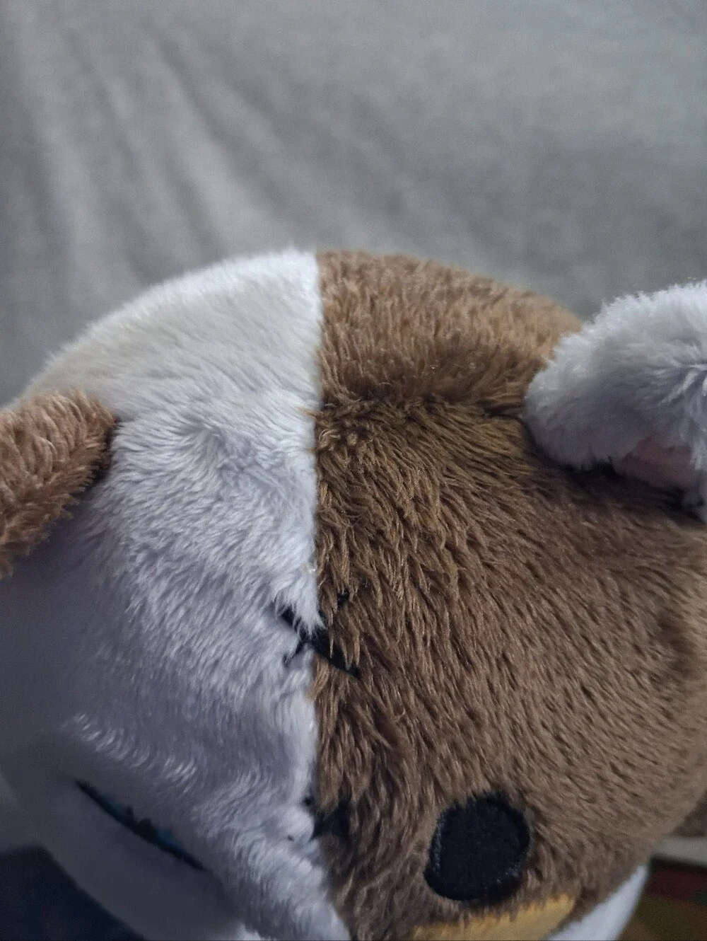 Ripndip teddy fresh